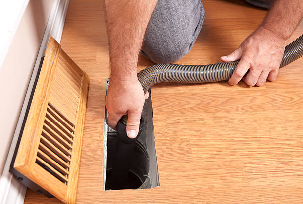 Best Air Duct Mold Removal  in Westminster, SC